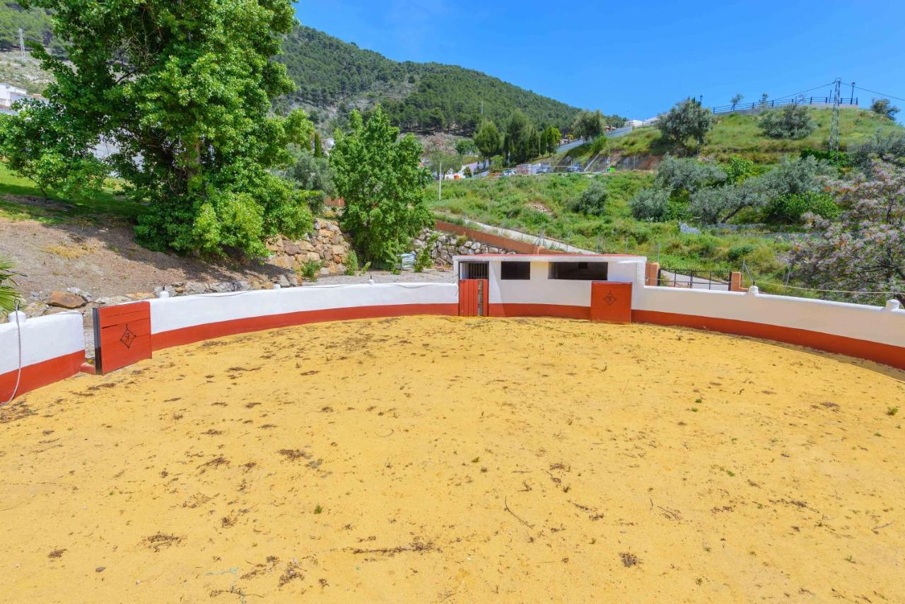Casa Flores Con Piscina Interior Climatizada Alcaucín Exterior photo