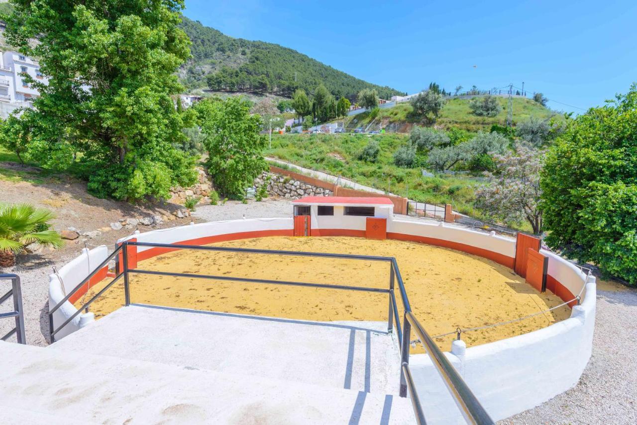 Casa Flores Con Piscina Interior Climatizada Alcaucín Exterior photo